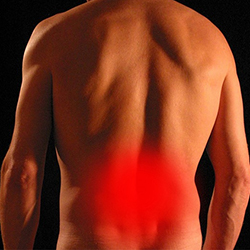 Back Pain Management & Treatment Specialist Course